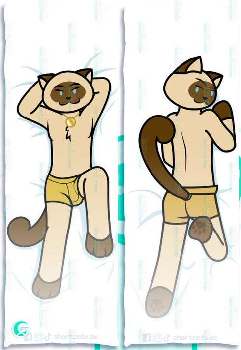 Male cat Body pillow case EJOY ARTS